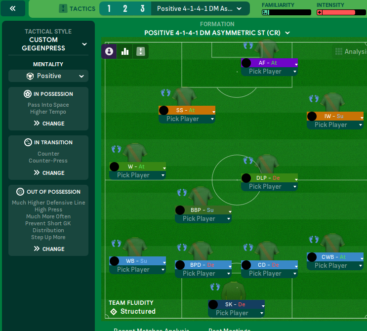4-1-4-1 DM Asymmetric tactic